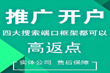 百度竞价代运营公司成功案例解析